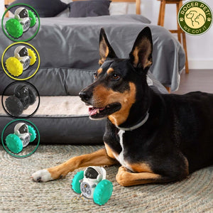 Interactive Dog & Cat Treat Dispenser – Slow Feeder IQ Toy