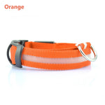 Safety LED Dog Collar – Waterproof, Light-Up Pet Collar for Night Walks