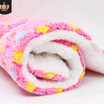 Cute Cat & Dog Blanket – Soft Coral Cashmere Pet Mat