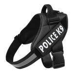 Adjustable Polyester Dog Leash – Durable Pet Walking Lead