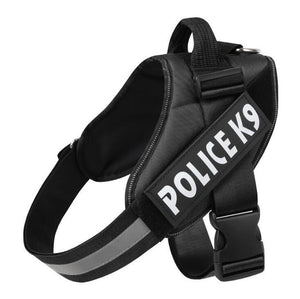 Adjustable Polyester Dog Leash – Durable Pet Walking Lead