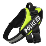 Adjustable Polyester Dog Leash – Durable Pet Walking Lead
