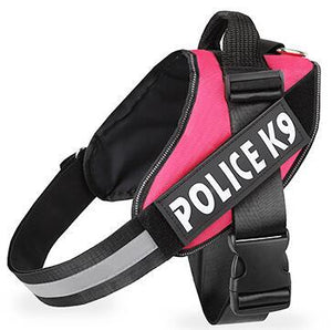 Adjustable Polyester Dog Leash – Durable Pet Walking Lead