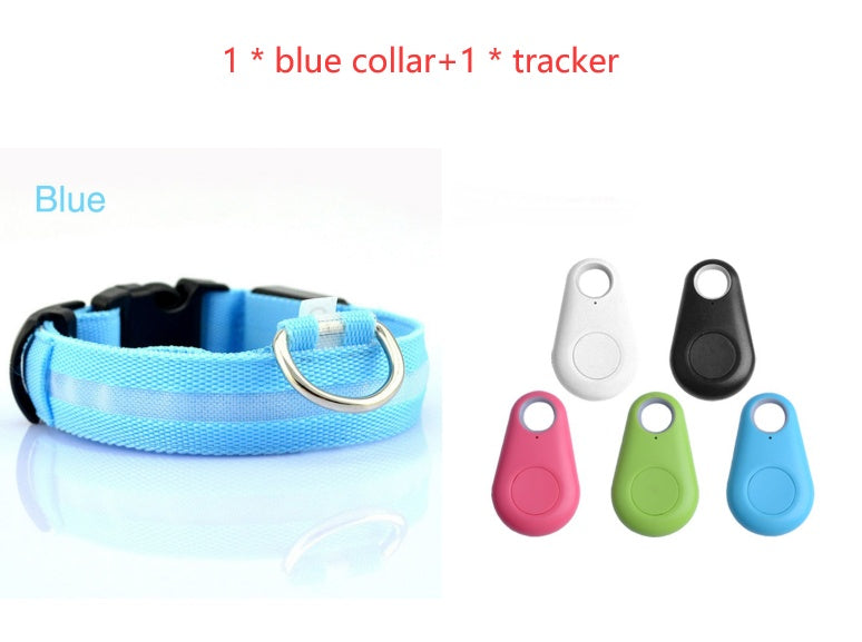 Safety LED Dog Collar – Waterproof, Light-Up Pet Collar for Night Walks
