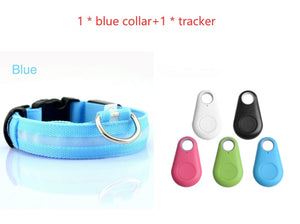 Safety LED Dog Collar – Waterproof, Light-Up Pet Collar for Night Walks