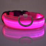 Safety LED Dog Collar – Waterproof, Light-Up Pet Collar for Night Walks