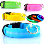 Safety LED Dog Collar – Waterproof, Light-Up Pet Collar for Night Walks