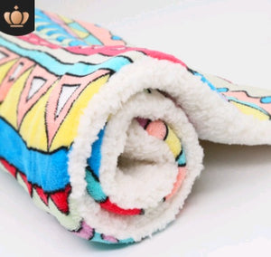 Cute Cat & Dog Blanket – Soft Coral Cashmere Pet Mat