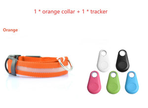 Safety LED Dog Collar – Waterproof, Light-Up Pet Collar for Night Walks