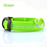 Safety LED Dog Collar – Waterproof, Light-Up Pet Collar for Night Walks