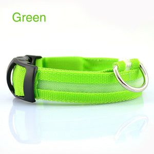 Safety LED Dog Collar – Waterproof, Light-Up Pet Collar for Night Walks