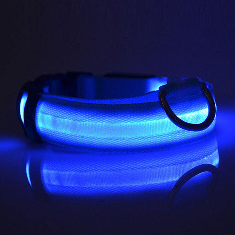 Safety LED Dog Collar – Waterproof, Light-Up Pet Collar for Night Walks
