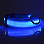 Safety LED Dog Collar – Waterproof, Light-Up Pet Collar for Night Walks