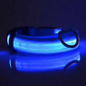 Safety LED Dog Collar – Waterproof, Light-Up Pet Collar for Night Walks