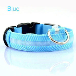 Safety LED Dog Collar – Waterproof, Light-Up Pet Collar for Night Walks