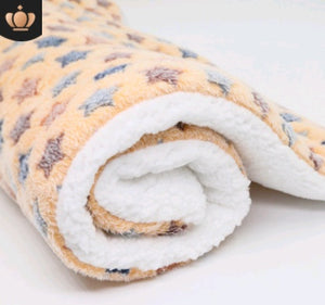 Cute Cat & Dog Blanket – Soft Coral Cashmere Pet Mat