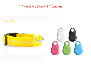 Safety LED Dog Collar – Waterproof, Light-Up Pet Collar for Night Walks