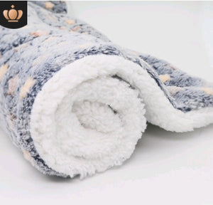 Cute Cat & Dog Blanket – Soft Coral Cashmere Pet Mat