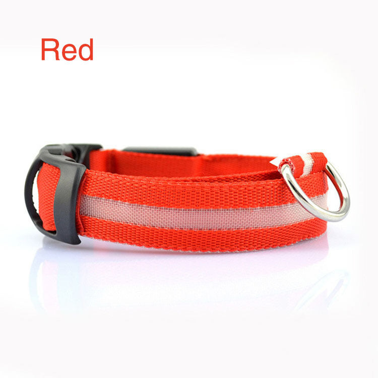 Safety LED Dog Collar – Waterproof, Light-Up Pet Collar for Night Walks