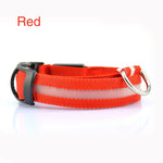 Safety LED Dog Collar – Waterproof, Light-Up Pet Collar for Night Walks