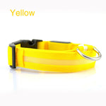 Safety LED Dog Collar – Waterproof, Light-Up Pet Collar for Night Walks