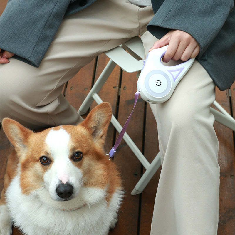 Retractable Dog Leash & Collar Set – Automatic Pet Traction Rope for Small & Medium Dogs