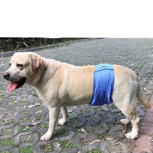 Male Dog Diaper & Restraint Belt – Washable Sanitary Pants