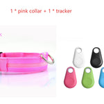 Safety LED Dog Collar – Waterproof, Light-Up Pet Collar for Night Walks