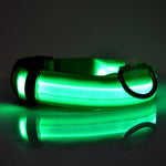 Safety LED Dog Collar – Waterproof, Light-Up Pet Collar for Night Walks