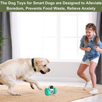 Interactive Dog & Cat Treat Dispenser – Slow Feeder IQ Toy