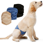 Male Dog Diaper & Restraint Belt – Washable Sanitary Pants