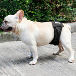 Male Dog Diaper & Restraint Belt – Washable Sanitary Pants